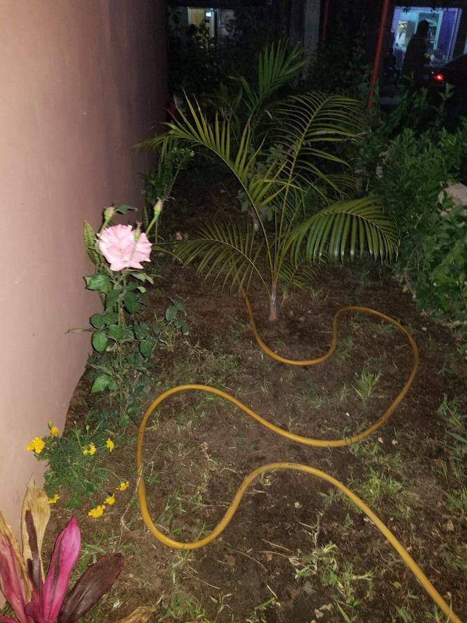 Appartement Confort Fann Hock Dakar Esterno foto